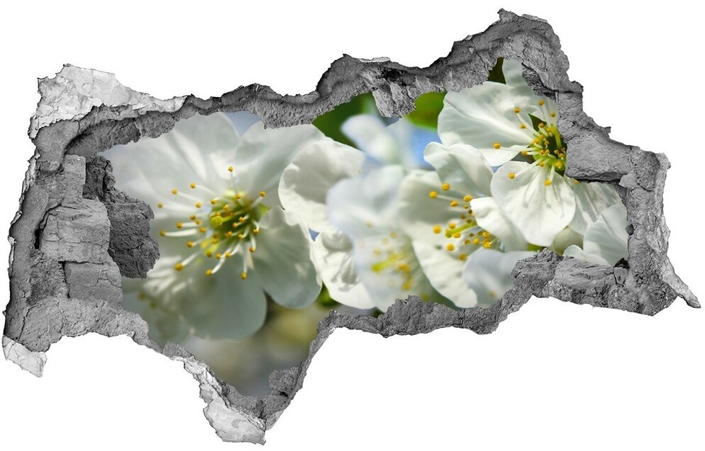 Wallmuralia.pl Samoprzylepna dziura naklejka Kwiat wiśni