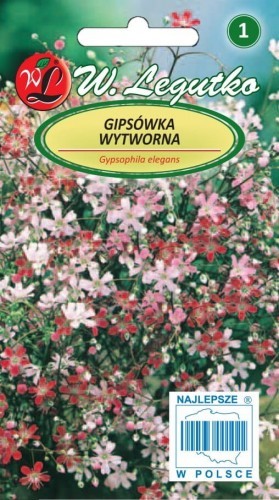 Legutko Gipsówka wytworna mieszanka 5903837164509