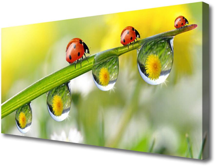 PL Tulup Obraz Canvas Liść Biedronki Przyroda 140x70cm