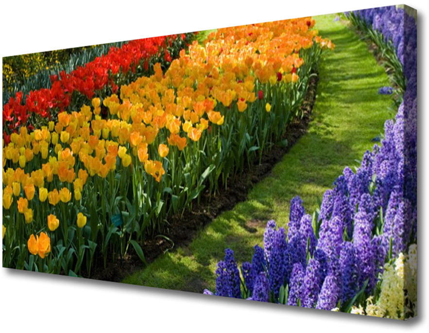 PL Tulup Obraz Canvas Kwiaty Ogród Tulipany 100x50cm