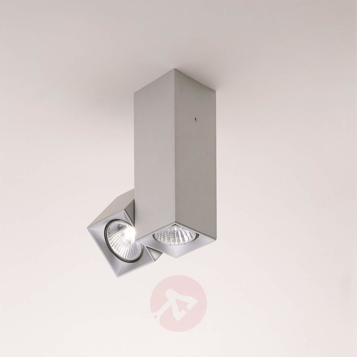 Milan DAU - lampa sufitowa, stała/ruchoma, 2-pkt.