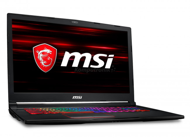 MSI Raider GE73 8RE-491XPL