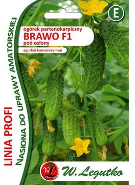 Legutko Ogórek gruntowy konserwowy pod osłony BRAWO F1 PROFI