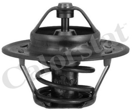 CALORSTAT Termostat, środek chłodzący CALORSTAT TH1378.88J