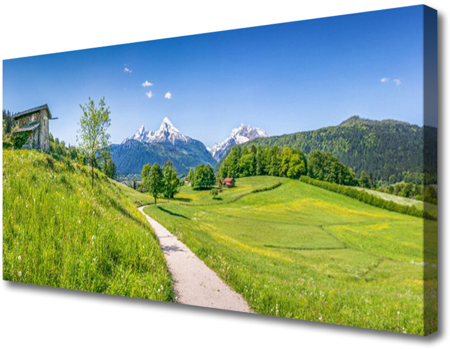 PL Tulup Obraz Canvas Góry Łąka Ścieżka Dolina 100x50cm