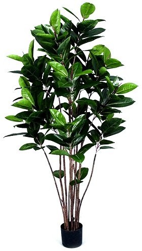 Europalms Euro Palms 82600151 gumowe drzewo, 150 cm 82600151