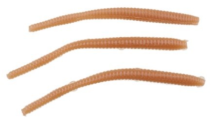 PowerBait FW powerbait FW power Floating Trout WORM wędkowanie przynęta, brązowy 119999