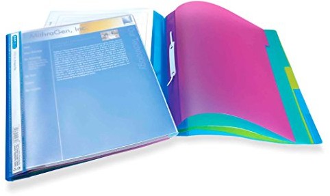 RAPESCO 668 teczka projektu - 5-częściowy plik projektu z kolorowymi zakładkami - przezroczysty 668