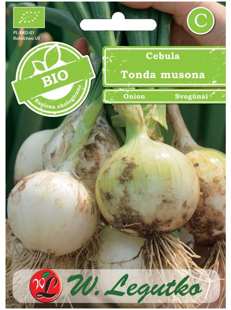 Legutko Cebula nasiona BIO Tonda musona