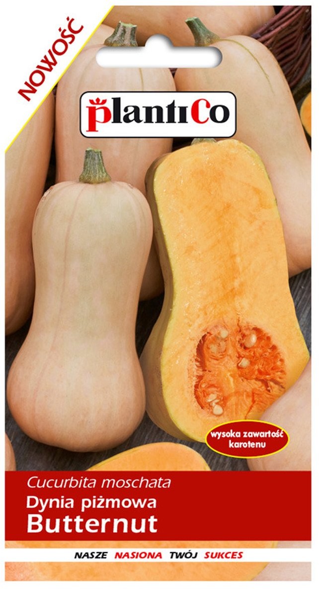 Plantico Dynia piżmowa Butternat 2g