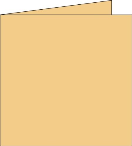 Clairefontaine 2126 °C pyłki Pack 25 kartek składanych 16 x 16 cm, karmel 2158C