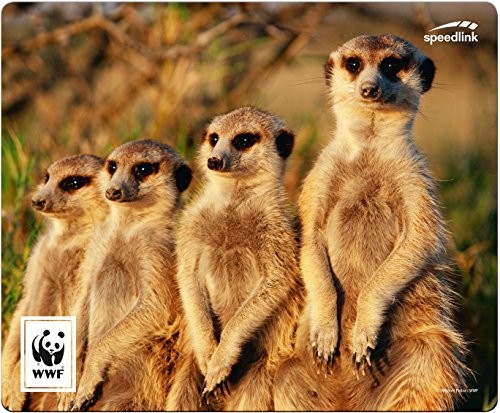 SPEEDLINK SL-620300-wwf5 