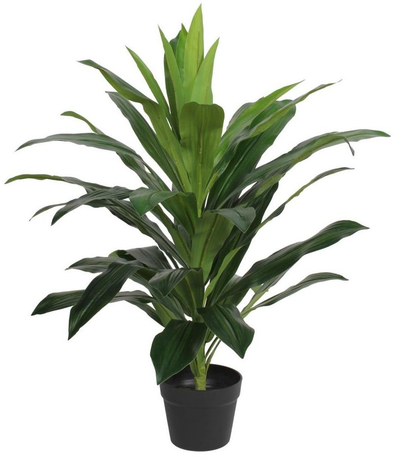 SPLENDID Dracena sztuczna w doniczce 80 cm SPLENDID