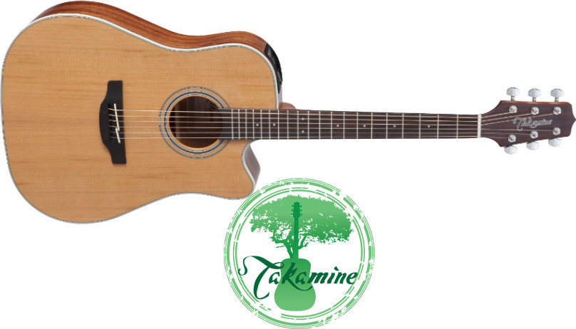 Takamine GD20CE-NS