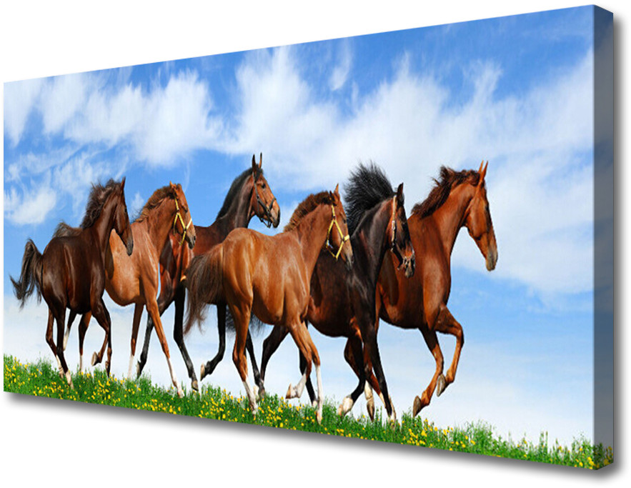 PL Tulup Obraz Canvas Konie w Galopie na Pastwisku 140x70cm