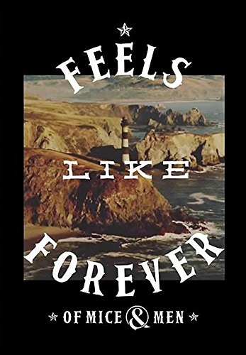 OF MICE & MEN of Mice & Men flaga chorągiew flaga plakatowa feels Like Forever VD-HFL1161