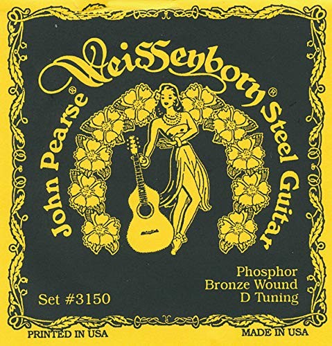 John Pearse Strings John Pearse 3150H Heavy Weissenborn D-Tune 3150H