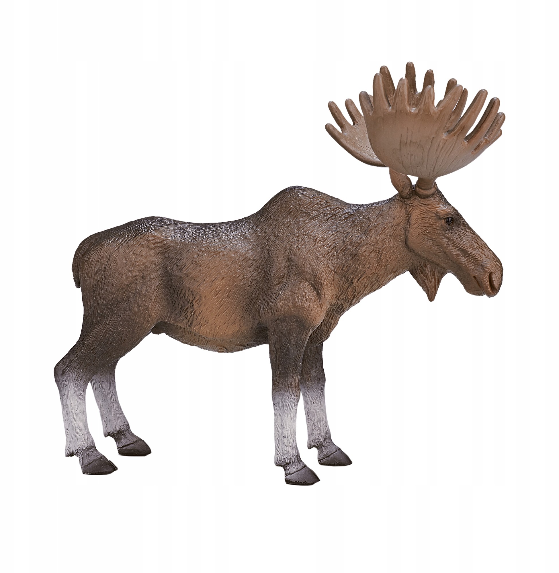 Animal Planet Łoś Euroazjatycki - 387023 - XL