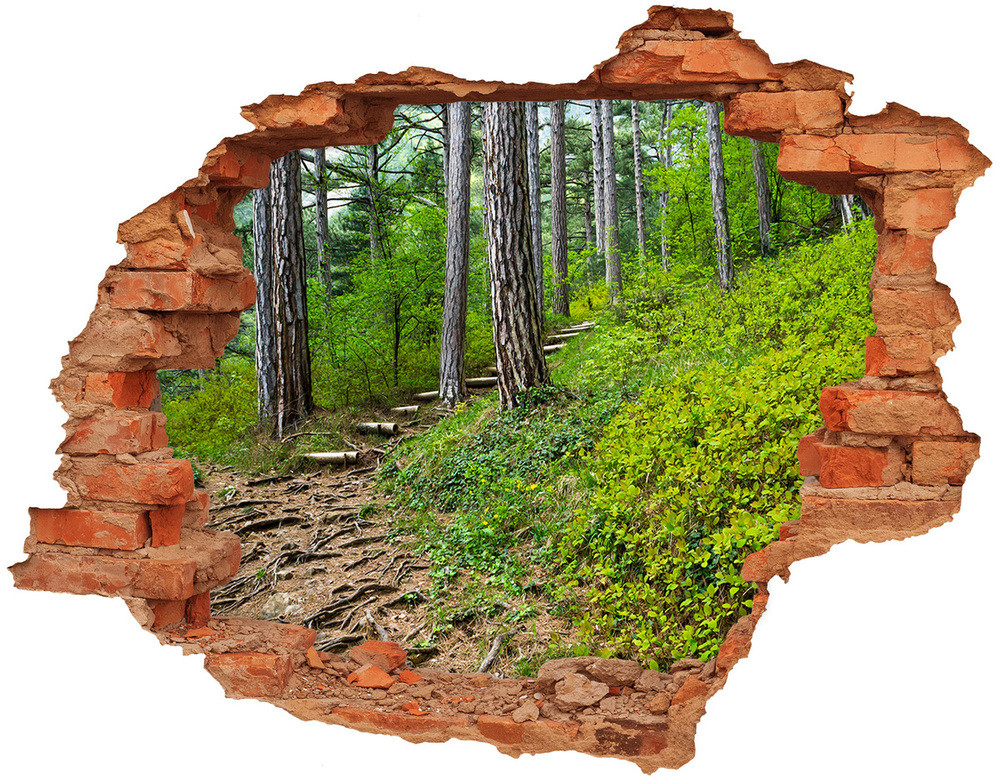 Wallmuralia.pl Dziura 3d w ścianie naklejka Leśna ścieżka