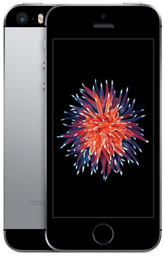 Apple iPhone SE 32GB Gwiezdna szarość (MP822LP/A)