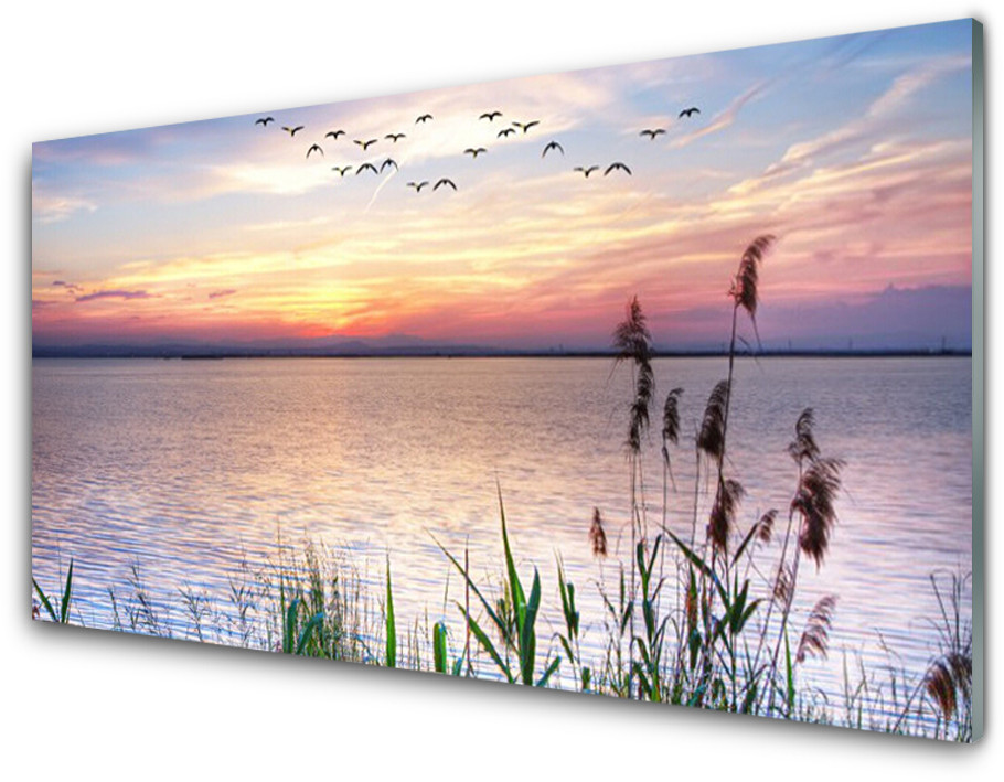 Tulup.pl Panel Szklany Morze Patki Niebo Krajobraz 100x50cm