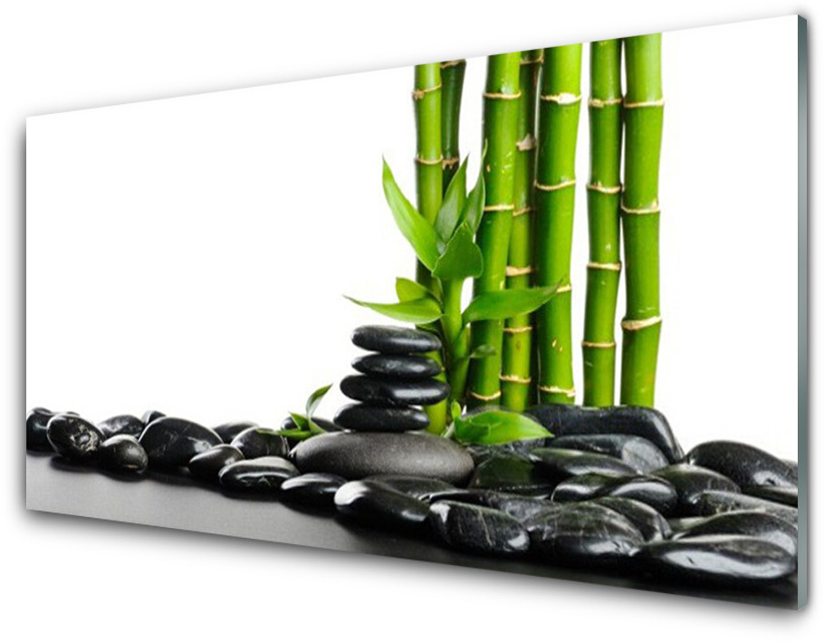 Tulup.pl Panel Kuchenny Bambus Piękna Grafika 100x50cm