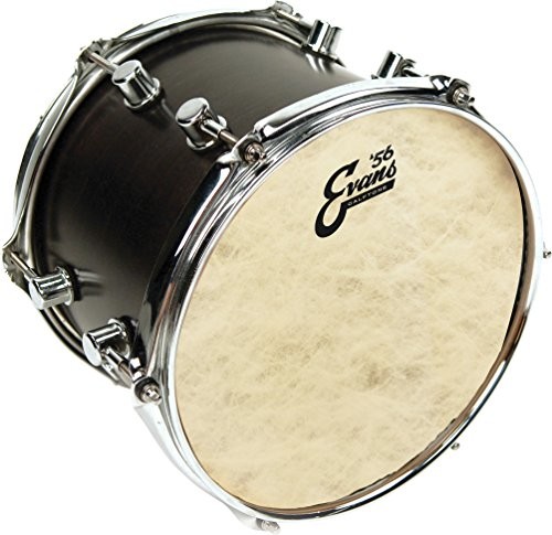 Evans evans tt12 °C7 Tom sierść drum Head TT12C7