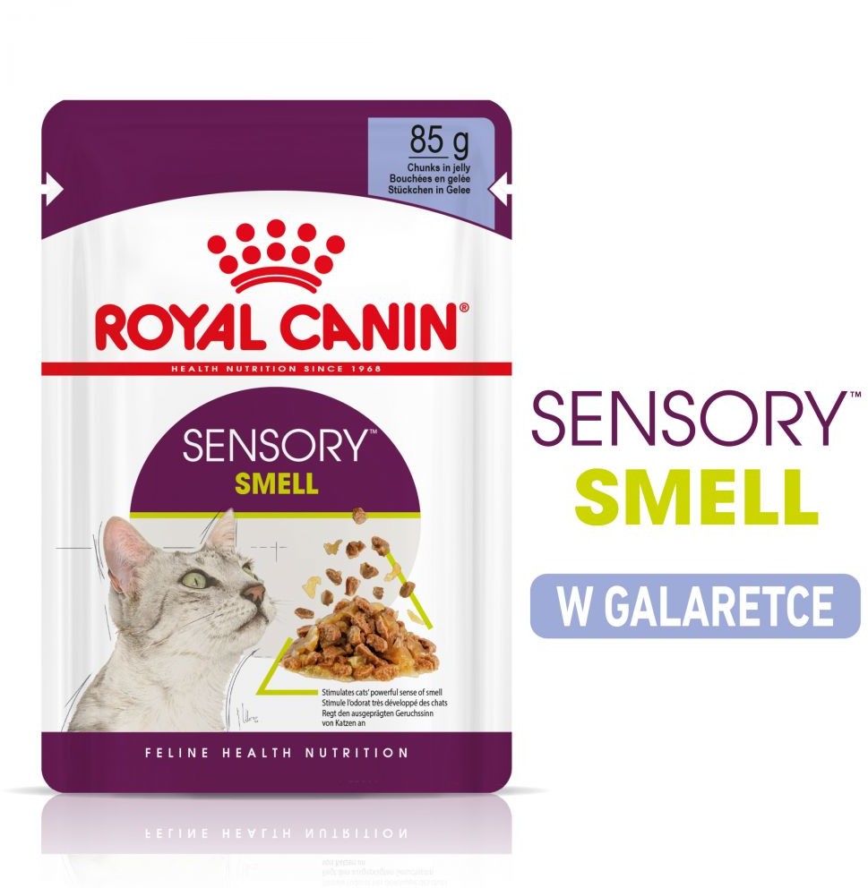 Royal Canin Sensory Smell w galarecie - 24 x 85 g