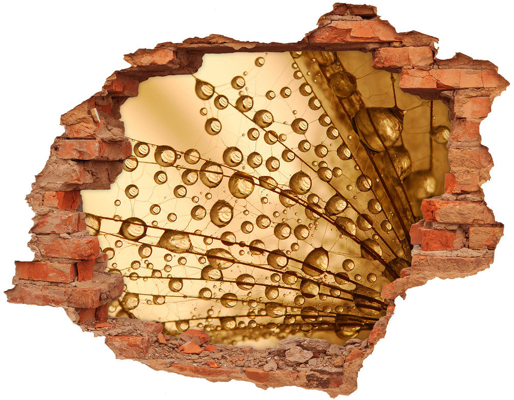 Wallmuralia.pl Samoprzylepna naklejka Nasiona dmuchawca