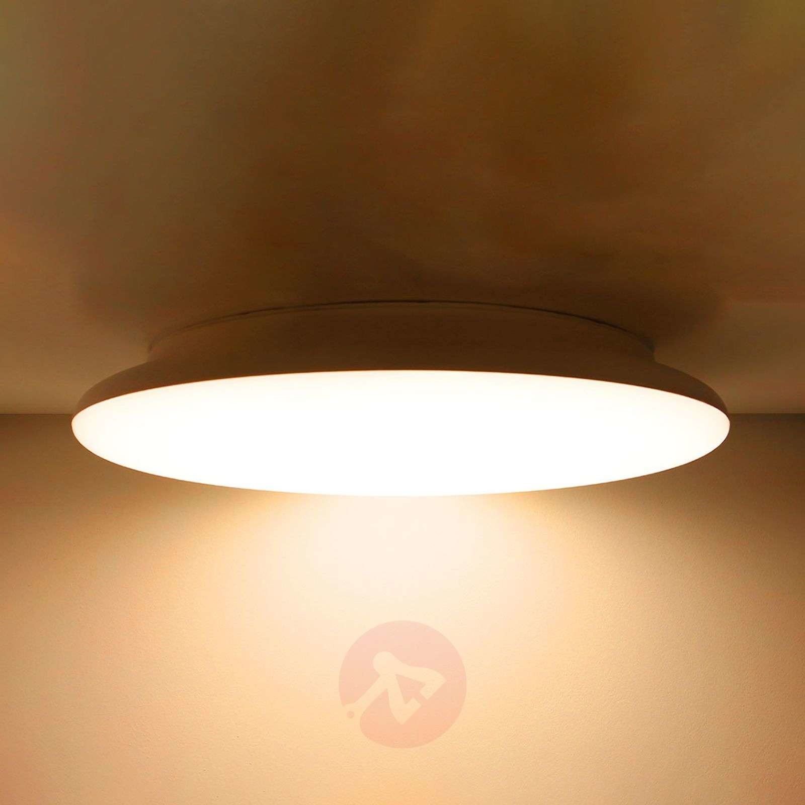 THE LIGHT GROUP SLC lampa sufitowa LED IP54  25 cm 3 000 K