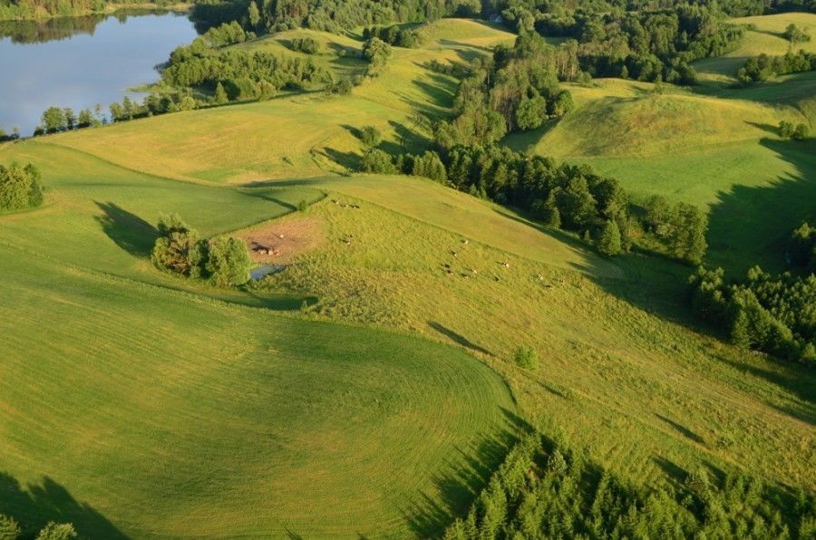 Lot balonem dla dwojga - Biebrzański Park Narodowy LBDDBPN