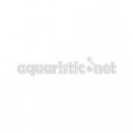Nekton nekton muszek owocowych, koncentrat, 1er Pack (1 X 1 kg) -