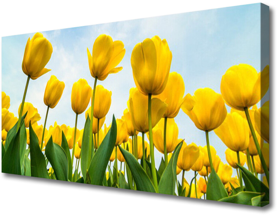 PL Tulup Obraz Canvas Tulipany Kwiaty Roślina 100x50cm