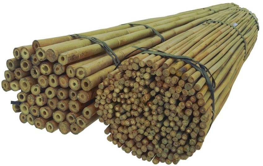 Tyczki Bambusowe 90 cm 12/14 mm /25 szt/, bambus
