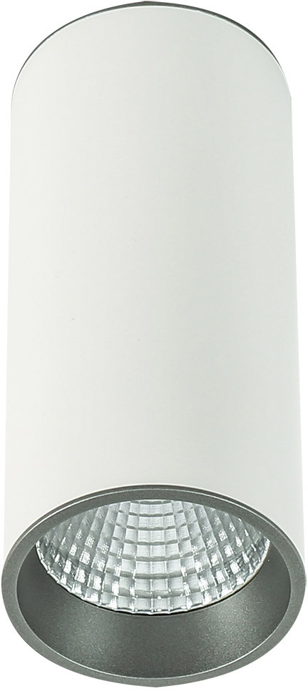 Italux Downlight LAMPA sufitowa MOLDES SLC7392/12W 3000K WH+GR spot OPRAWA LED 12W metalowa TUBA plafon biała szara