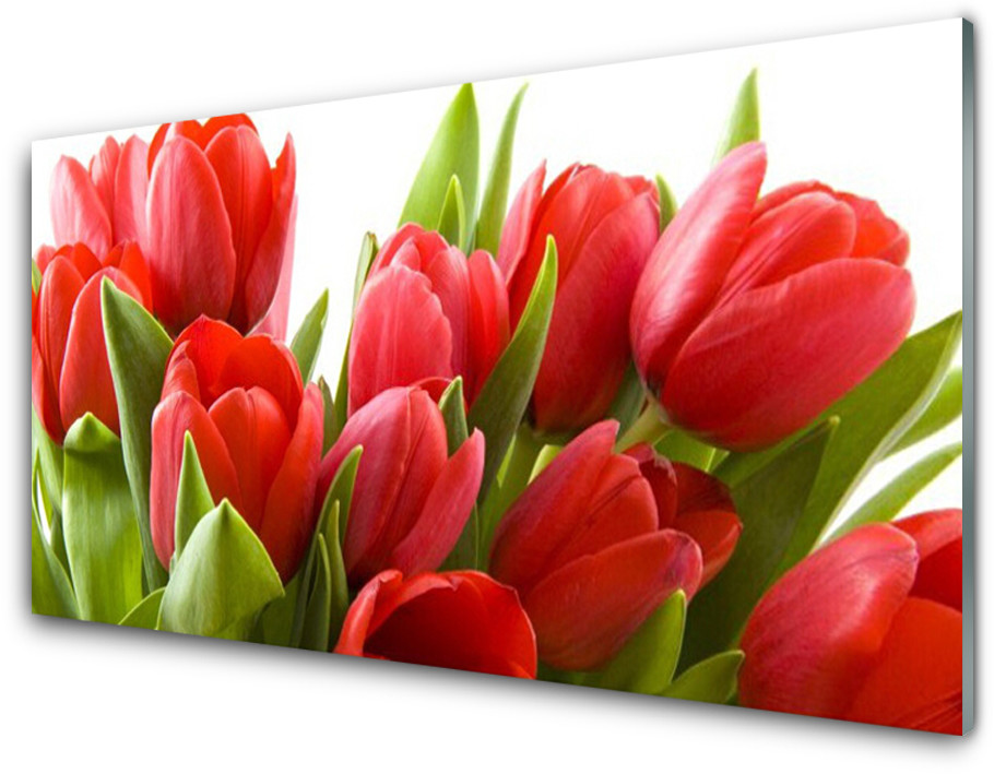 Tulup.pl Panel Kuchenny Tulipany Kwiaty Roślina 100x50cm