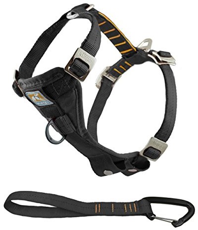 Kurgo Złącze kurgo 01257 Tru-Fit Smart naczynia dla psów, zwiększona stabilność łącznie z pasek, M, czarny