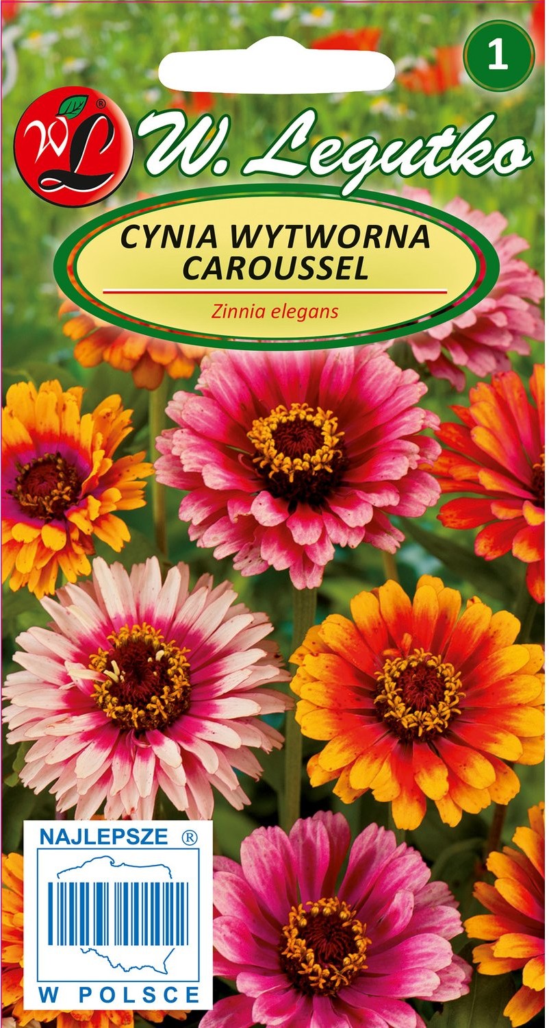 Legutko Cynia Daliowa Caroussel mieszanka
