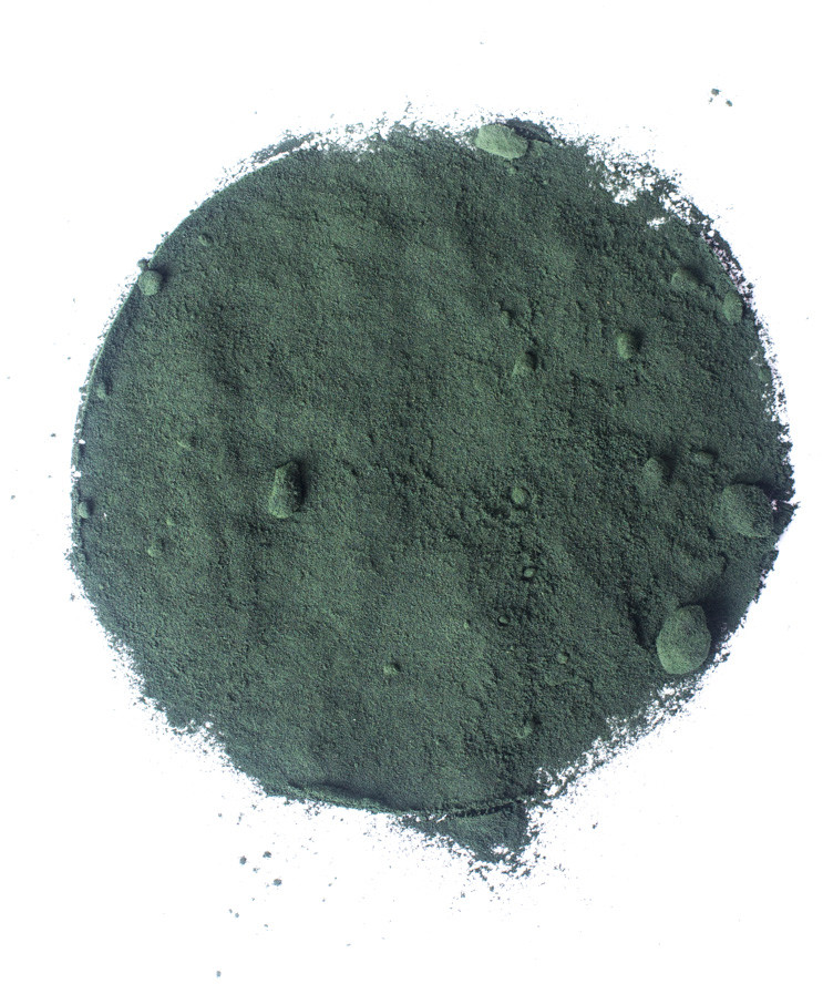 Planteon Spirulina proszek 10kg 2-0115-06-7