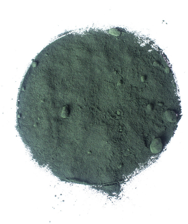 Planteon Spirulina proszek 100g 2-0115-01-2