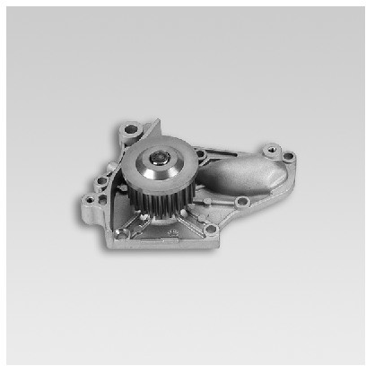 HEPU Pompa wodna P763