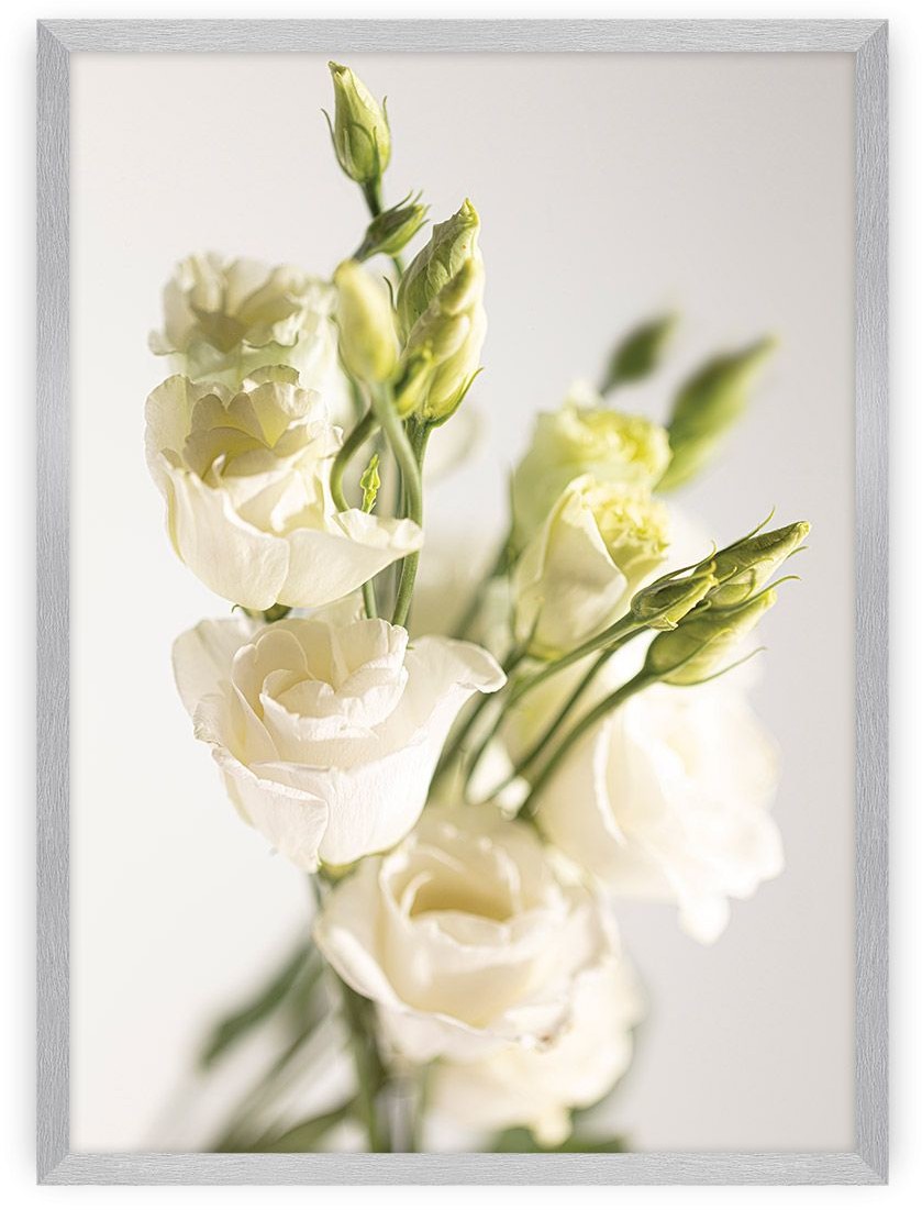 Dekoria Dekoria Plakat Elegant Flowers 21 x 30 cm Ramka Srebrna 218B-000-24