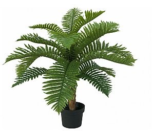 Europalms EUROPALMS Palma Cycas, sztuczna roślina, 70 cm 82509604