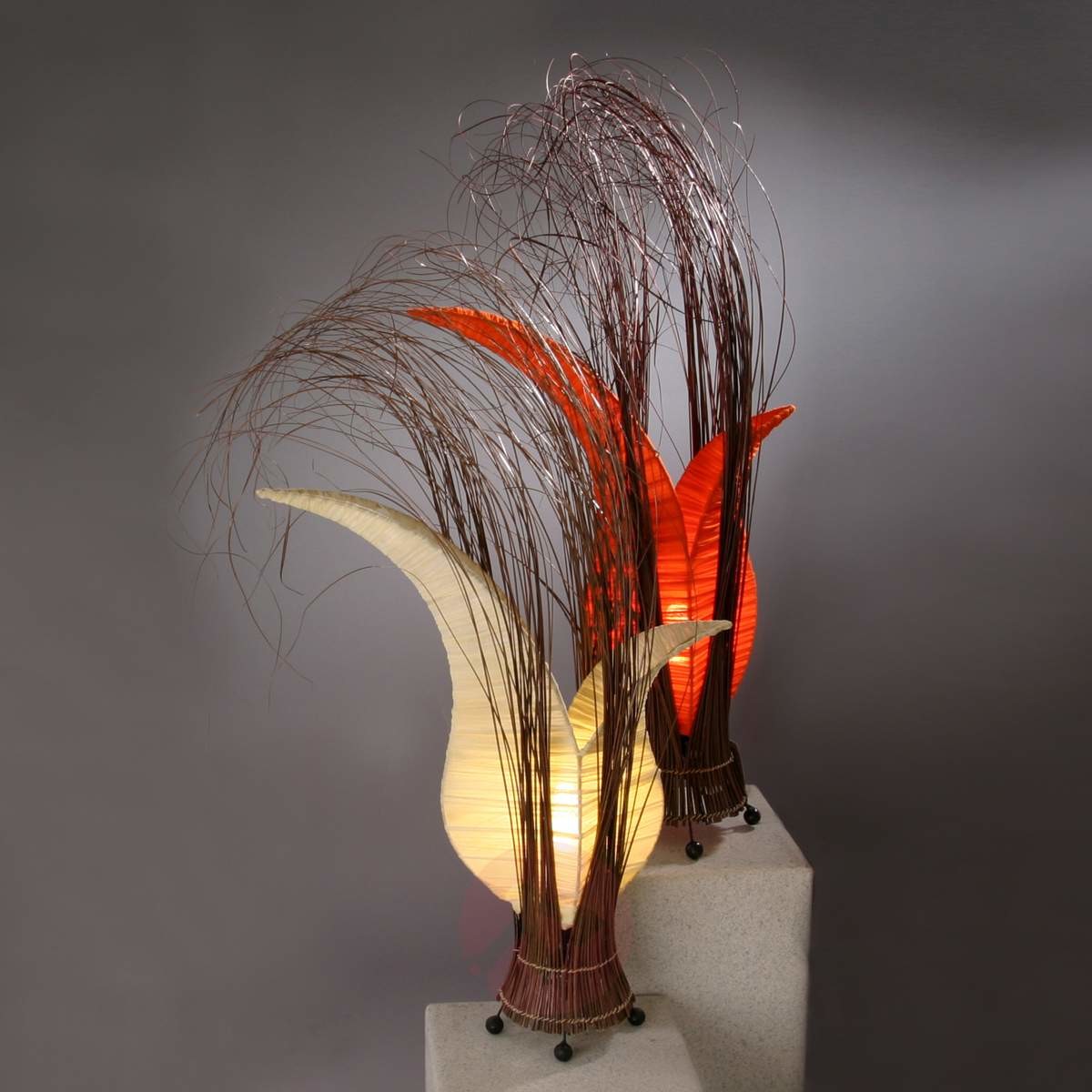 Legler Lampa, Bunga