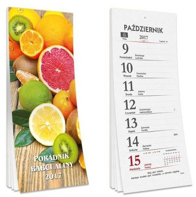 Sapt Kalendarz tygodniowy 2017 SD1