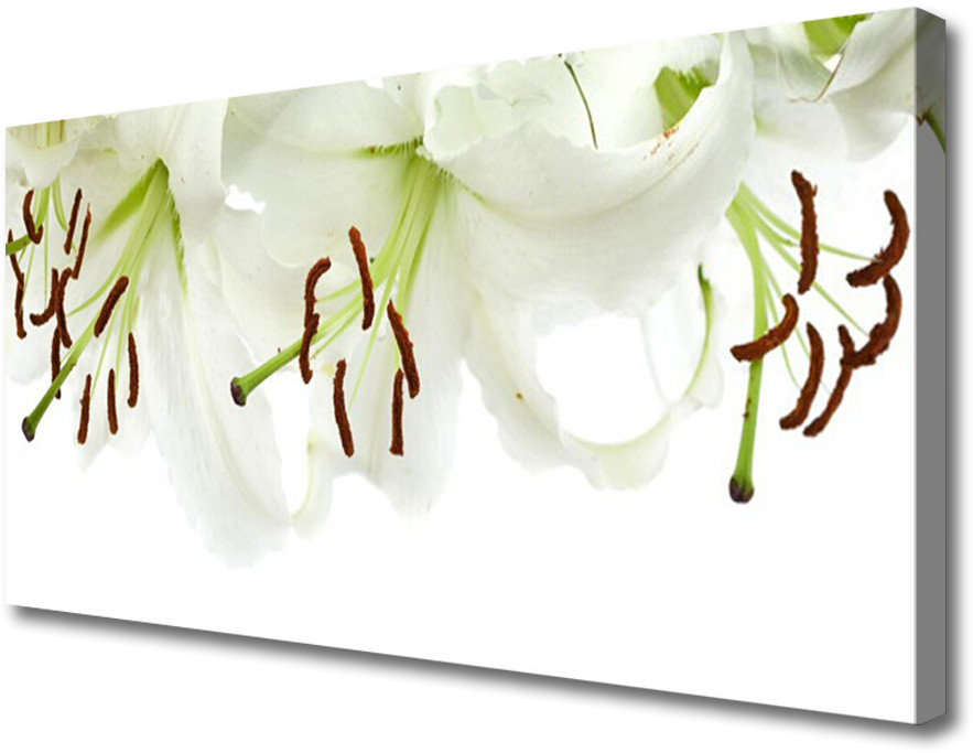PL Tulup Obraz Canvas Kwiaty Roślina Natura 100x50cm