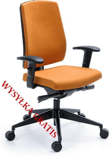 ProfiM Krzesło ergonomiczne Raya R 21 - 23