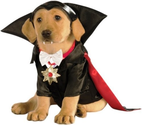 Rubie's Dracula kostium uniwersalny Studios Monster Dog