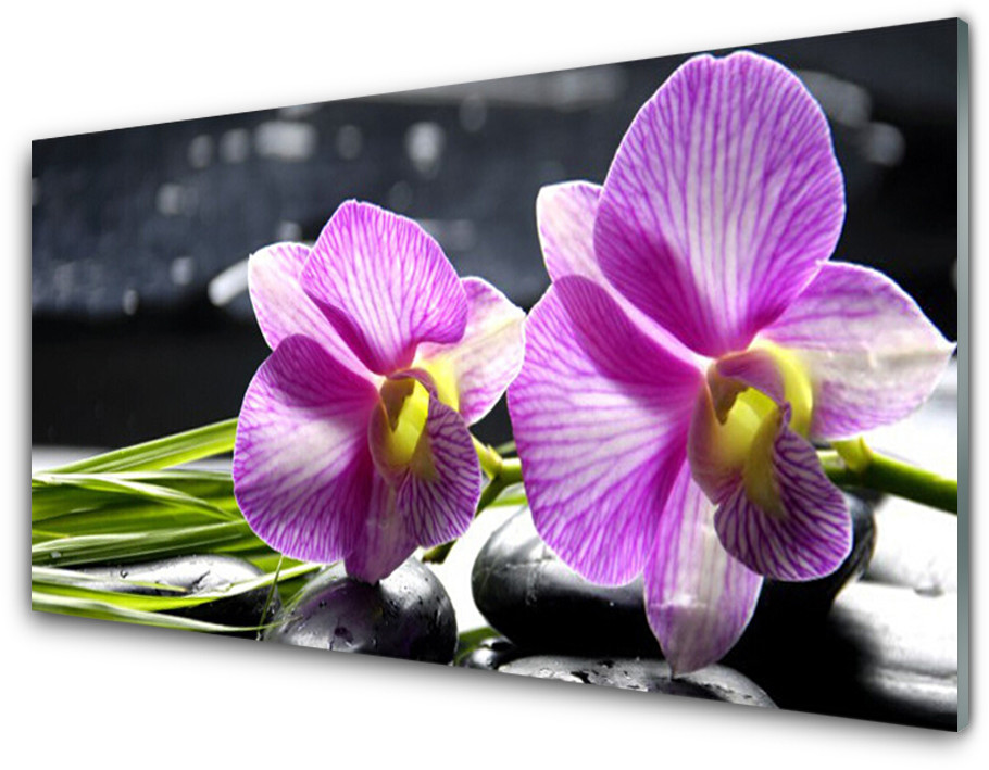 Tulup.pl Panel Kuchenny Kwiaty Roślina Natura 120x60cm