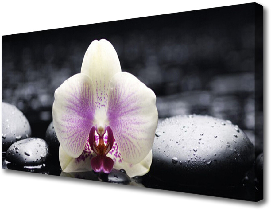 PL Tulup Obraz Canvas Kwiat Orchidea Roślina 140x70cm